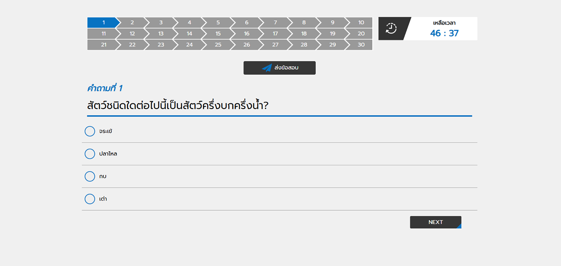 ระบบการทำแบบทดสอบ